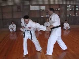 karate seminar