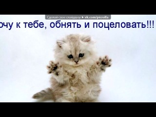 картинки зайка мой любимый онлайн картинки зайка мой любимый