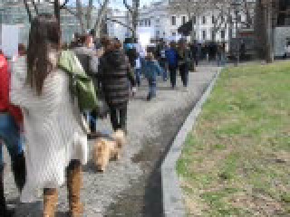 Марш в защиту бездомных животных 31.03.2012 г.!