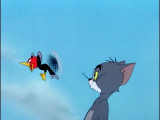 Том и Джерри (Hanna and Barbera/MGM cartoons) 20 эпизод