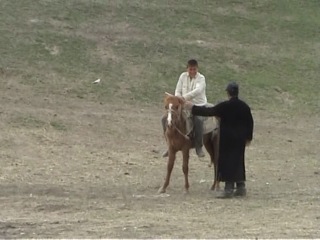 Волкодавы, САО (Алабаи) на родине