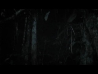 Без вести пропавшие / Desaparecidos (2011)
