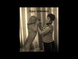 батянька