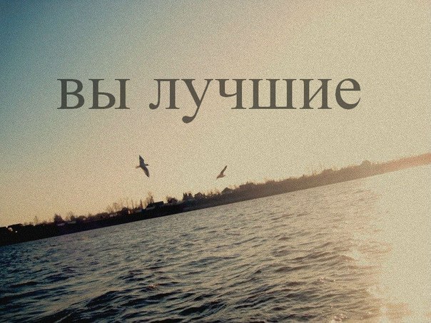 Вы самые лучшие картинки с надписями