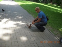 Андрей Бозен  Борс