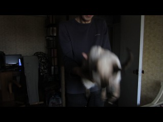 ���� � ���� �������� ������ � pic 10