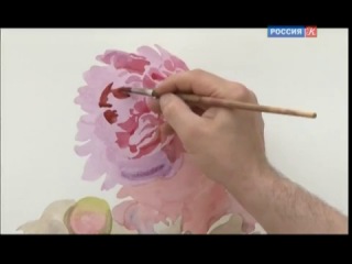 Андрияка С.Н. Урок рисования. Пионы (акварель)