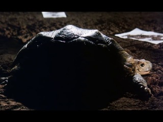 Момо / Momo (1986) (фантастика, фэнтези, комедия, детектив, семейный)