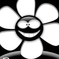 Роман Цветков