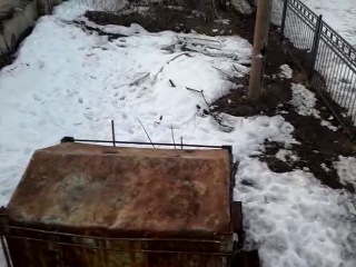 Ещё один дурацкий Harlem Sheke