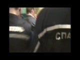Кот загрыз змею и оставил спасателей без работы. Челябинская область