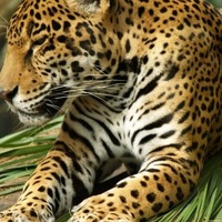 Алексей Егоров