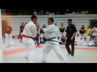  - Чемпионат Германии - 2014