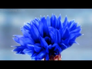 Средство для удаления макияжа с глаз Nivea Visage