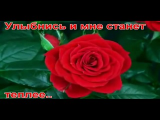 Порно ролик Читает книгу сидя на вибраторе (НОВИНКА)