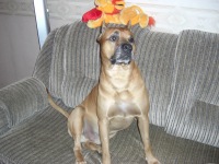 Степан Третяк