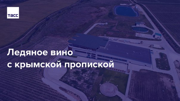 Впервые за полвека крымское вино получило высокую международную награду на конкурсе International Wine & Spirits Competition в Лондоне. Серебро и бронза соревнований отправились к ледяному вину Alma Valley. Рассказываем об уникальной винодельне в Альминской долине: