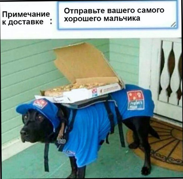 Они отправили лучшего