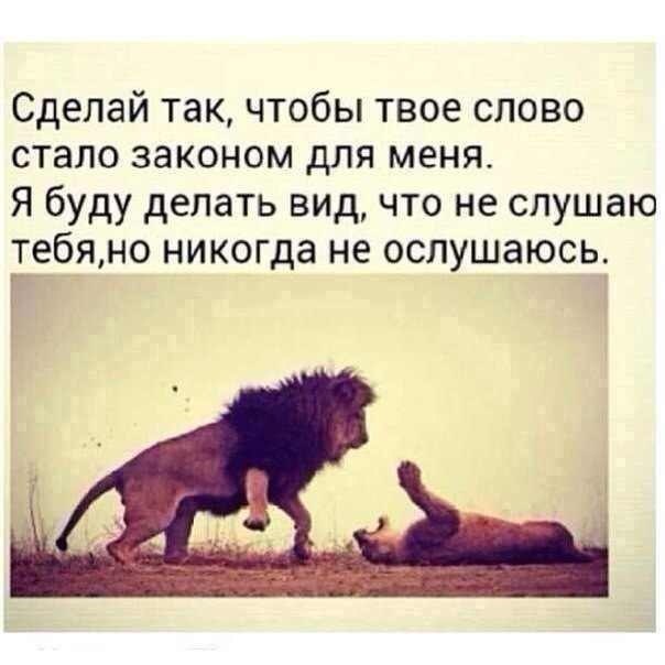 картинки красивые статусы онлайн картинки красивые статусы