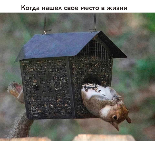 #юмор@bon