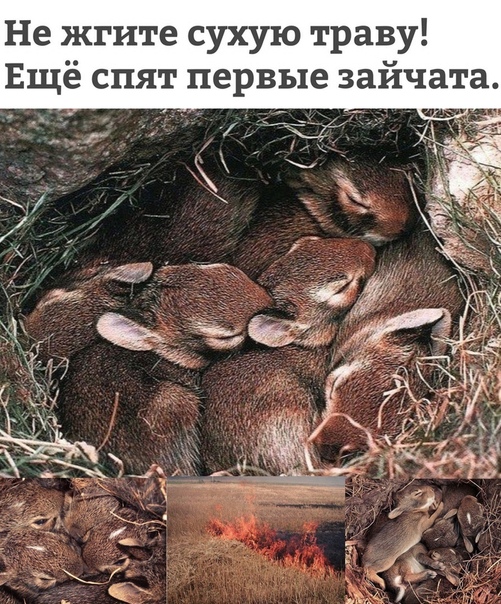 Это важно!