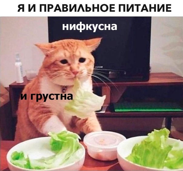 #юмор@bon