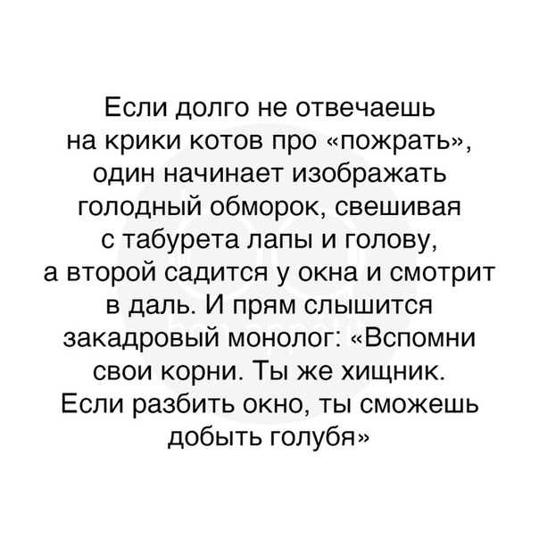 #юмор@bon