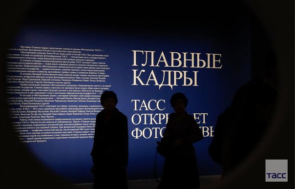 Выставка 