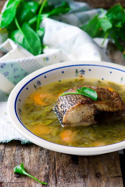 Зеленые щи со щукой 
