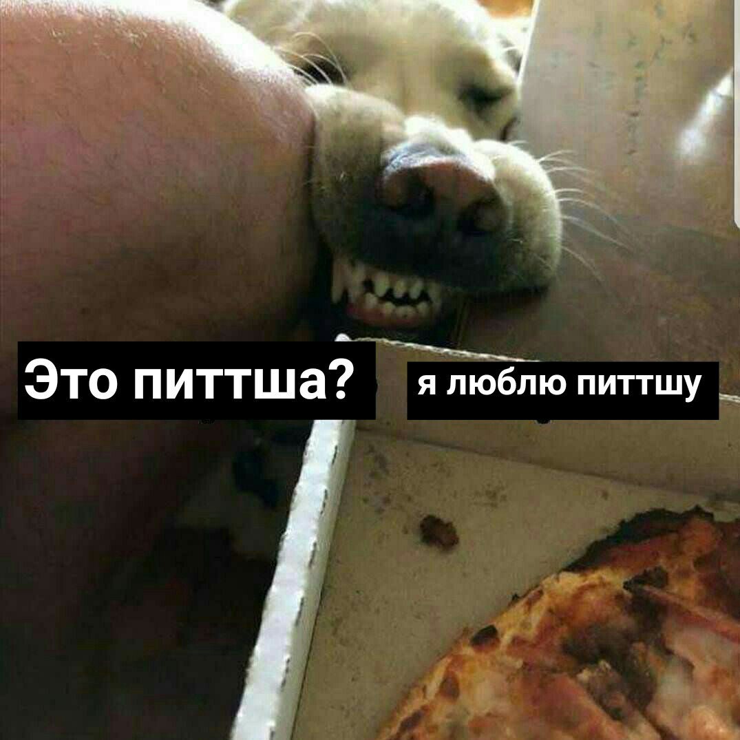 https://pp.userapi.com/c540100/v540100905/3bffd/nBhIwKqadnY.jpg