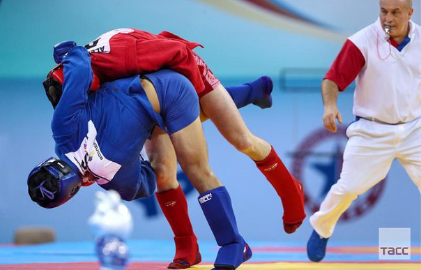 Сборная России завоевала три золота во второй день чемпионата Европы по самбо: