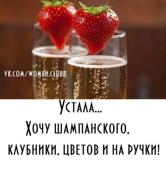 ���� ����������� ������ � �� ����� �������� � ���������, ����������