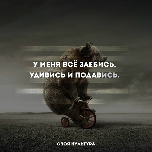 Картинки с надписями все заебись, утро картинки интеллигентные