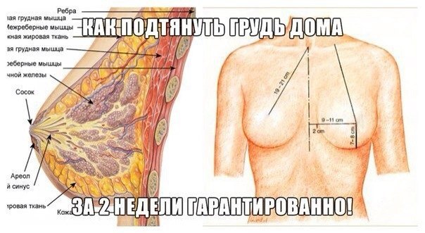 Как можно подтянуть грудь в домашних условиях Как можно подтянуть грудь в домашних условиях