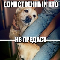 Миша Васильев