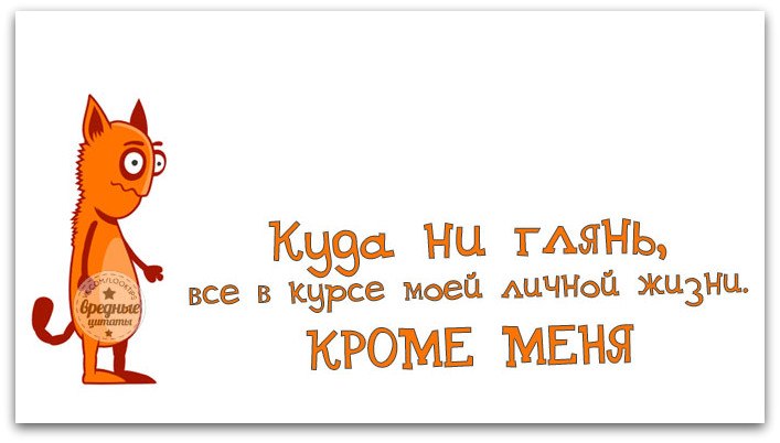 Куда ни глянь все в курсе моей личной жизни кроме меня. Планов громадье афоризм в картинках. Все кроме жизни. Все в курсе моей жизни кроме меня
