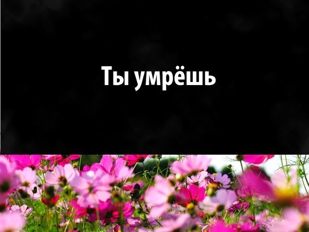 Картинки с надписью про смерть, привет даша красивые