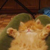 Ирина Драгуцан