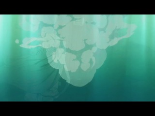 Iori Nomizu - DARAKENA (OST Hitsugi no Chaika - opening / Чайка и Гроб / Гроб принцессы Чайки - опенинг) (OP / ОП)