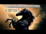 Рожденный в песках / The Young Black Stallion (2003)