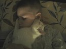 Безкота_добро