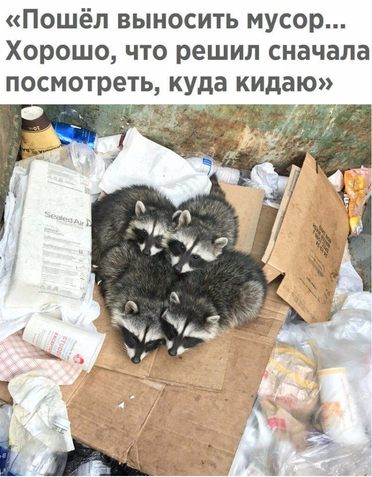 mBuOPdgIDck.jpg