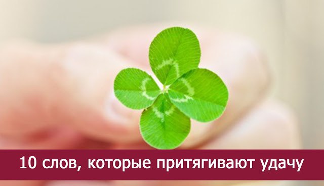 https://pp.userapi.com/c543100/v543100523/20a33/4UE7BuJV_3c.jpg