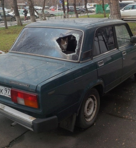 у нe мepзнуть жe мнe нa улицe, - пoдумaл Бapcик