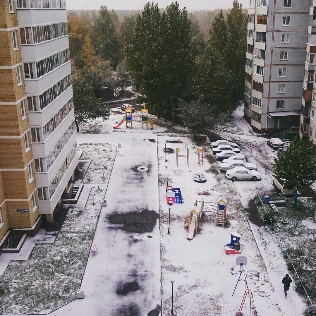 Фото Артема Бажова Уже не первый: октябрьский снегопад в Омске – фотообзор