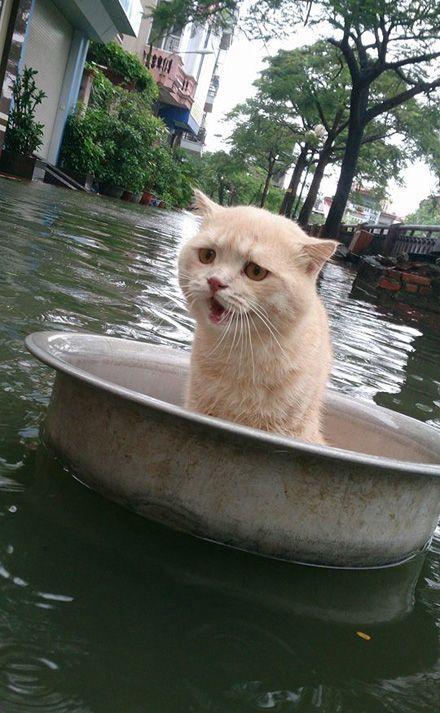 https://pp.userapi.com/c543100/v543100852/24198/Gy-uMhn-bo4.jpg