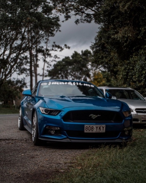 Mustang