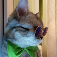 Женя Тимошенко |