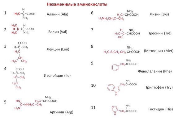 Мнемоническое правило для запоминания незаменимых аминокислот:
