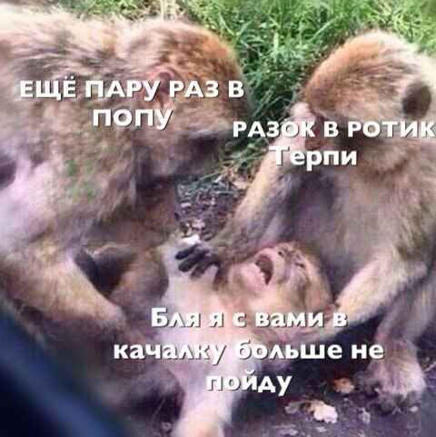 wpSMQGAoolQ.jpg